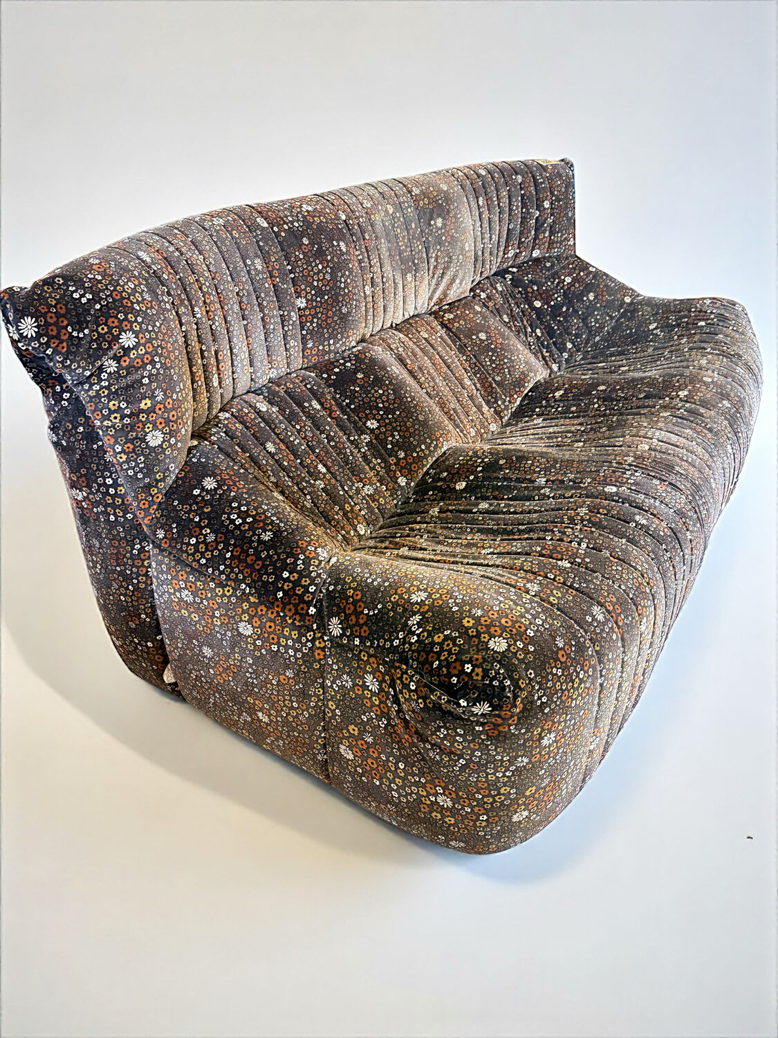 Salon complet ligne Roset Michel Ducaroy