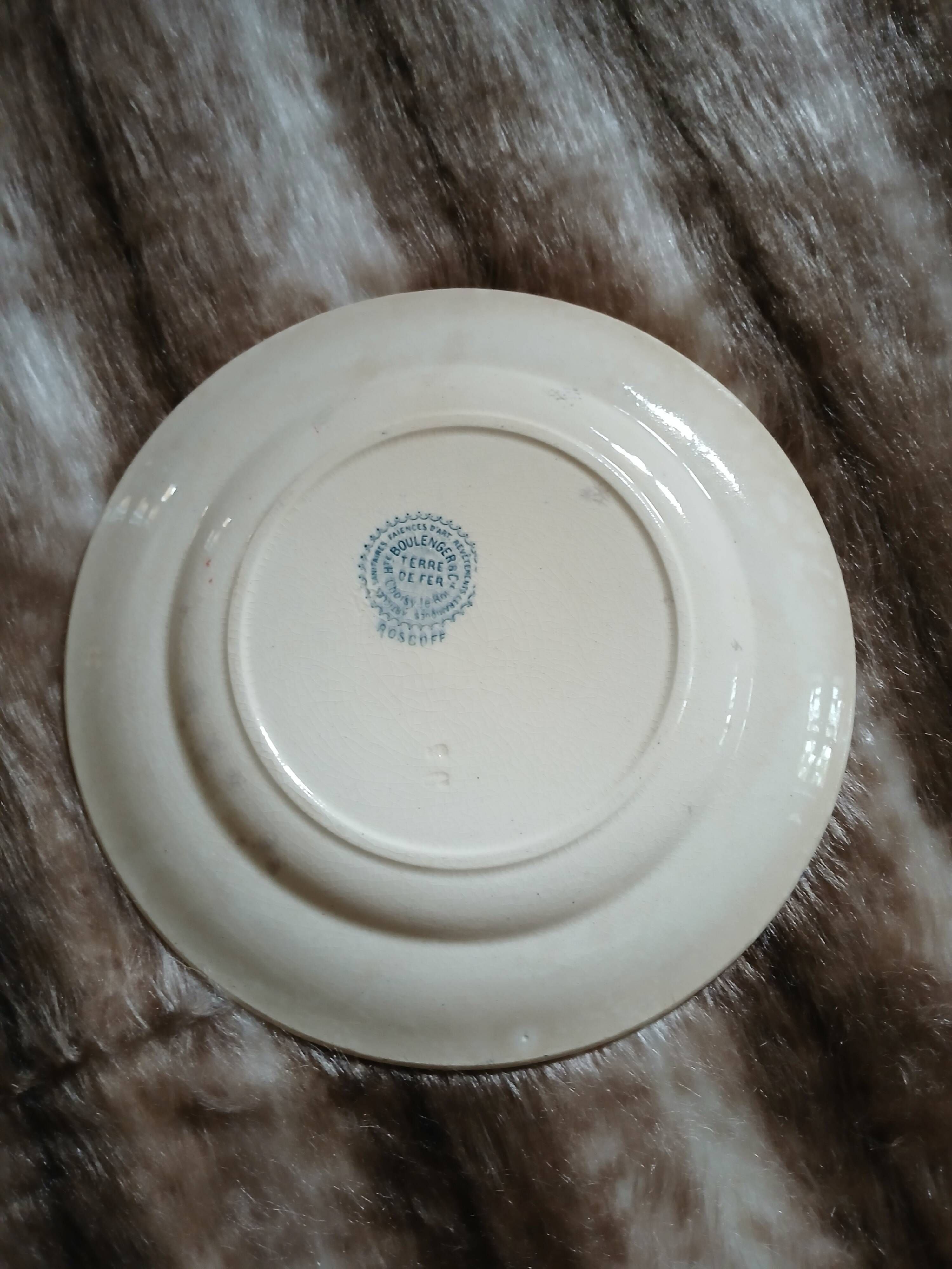 10 antique flat plates in ironstone