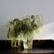 Pressed glass vase - Leaf pattern