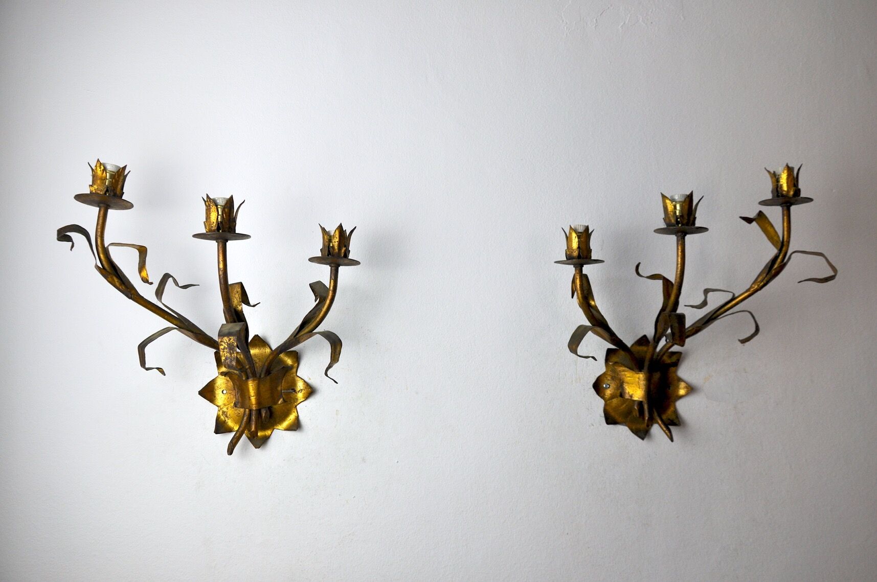 Pair of floral wall lamps Italy, 1950