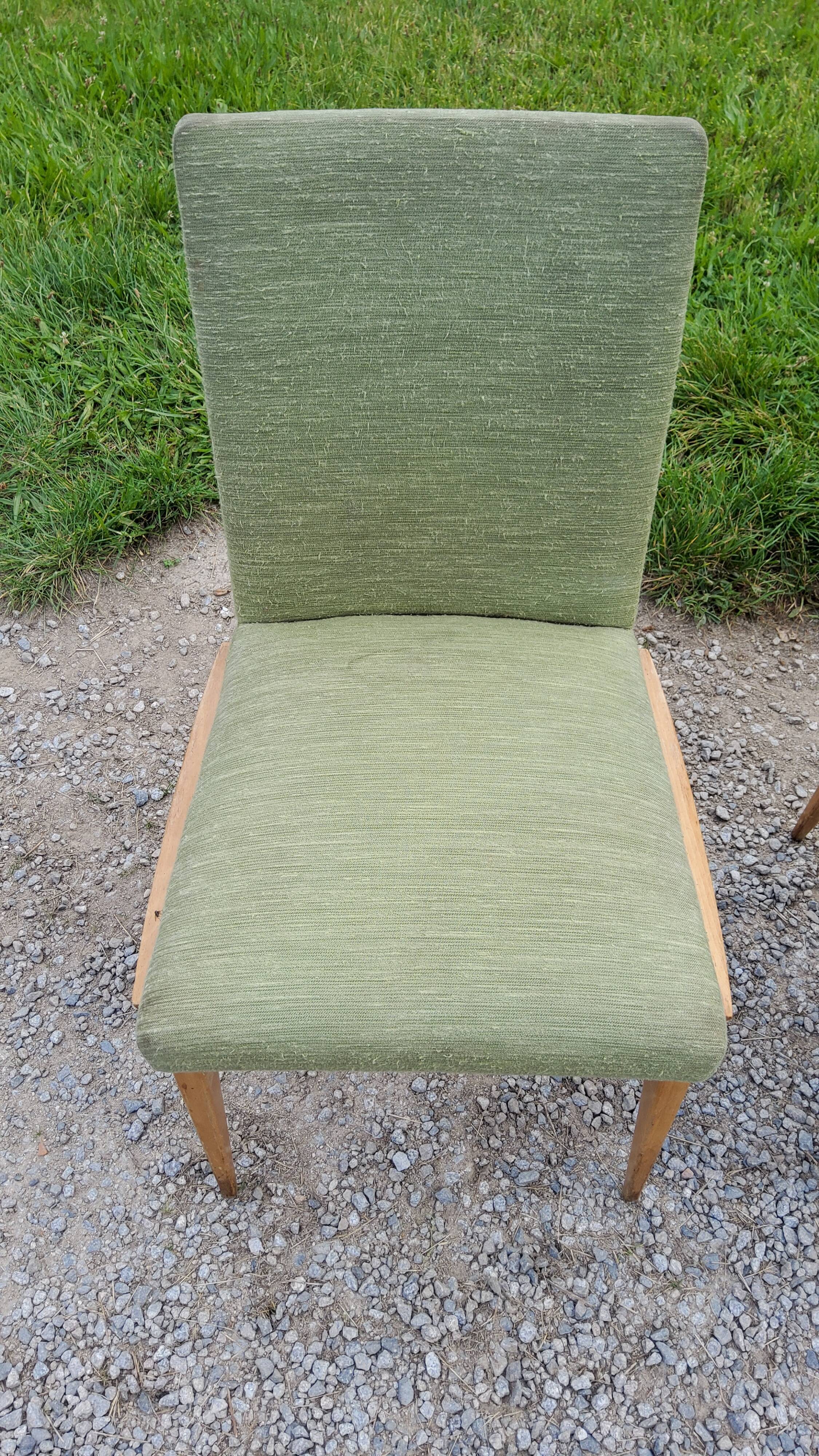 Pair of chairs from the 50s in sycamore tinted beech