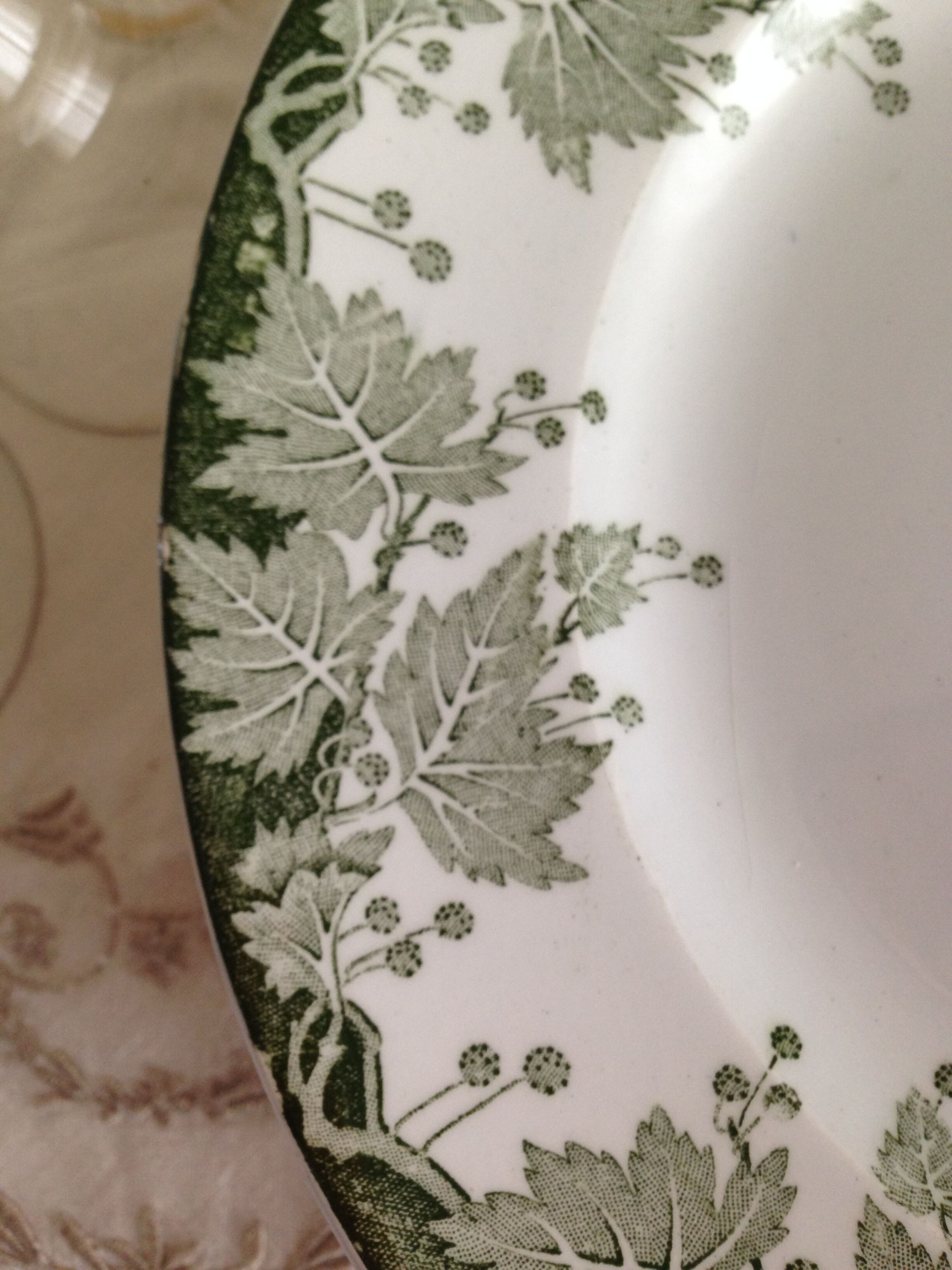 Dinner plates, model Platane, pottery St Amand and Hamage