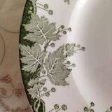 Dinner plates, model Platane, pottery St Amand and Hamage