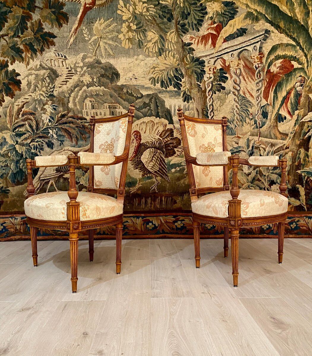Paire de fauteuils cabriolet de style louis xvi epoque xixeme