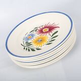 Lot of 7 plates Sarreguemines, model rustic. French Antique