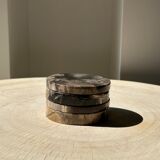 Set of 4 fossilized wooden coasters