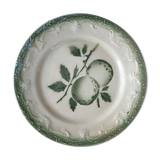 Plate Exton