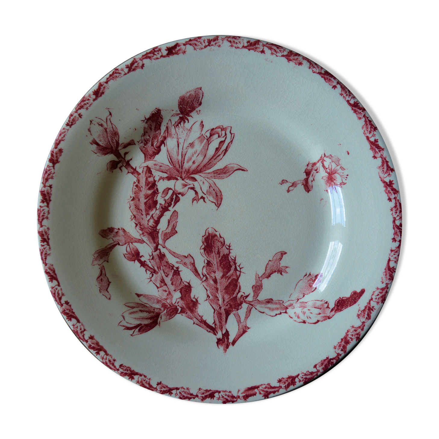 Opaque porcelain plate of Gien, red cactus model