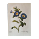 Affiche fleur vintage