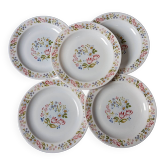 5 flowered dessert plates from Arcopal 1970s