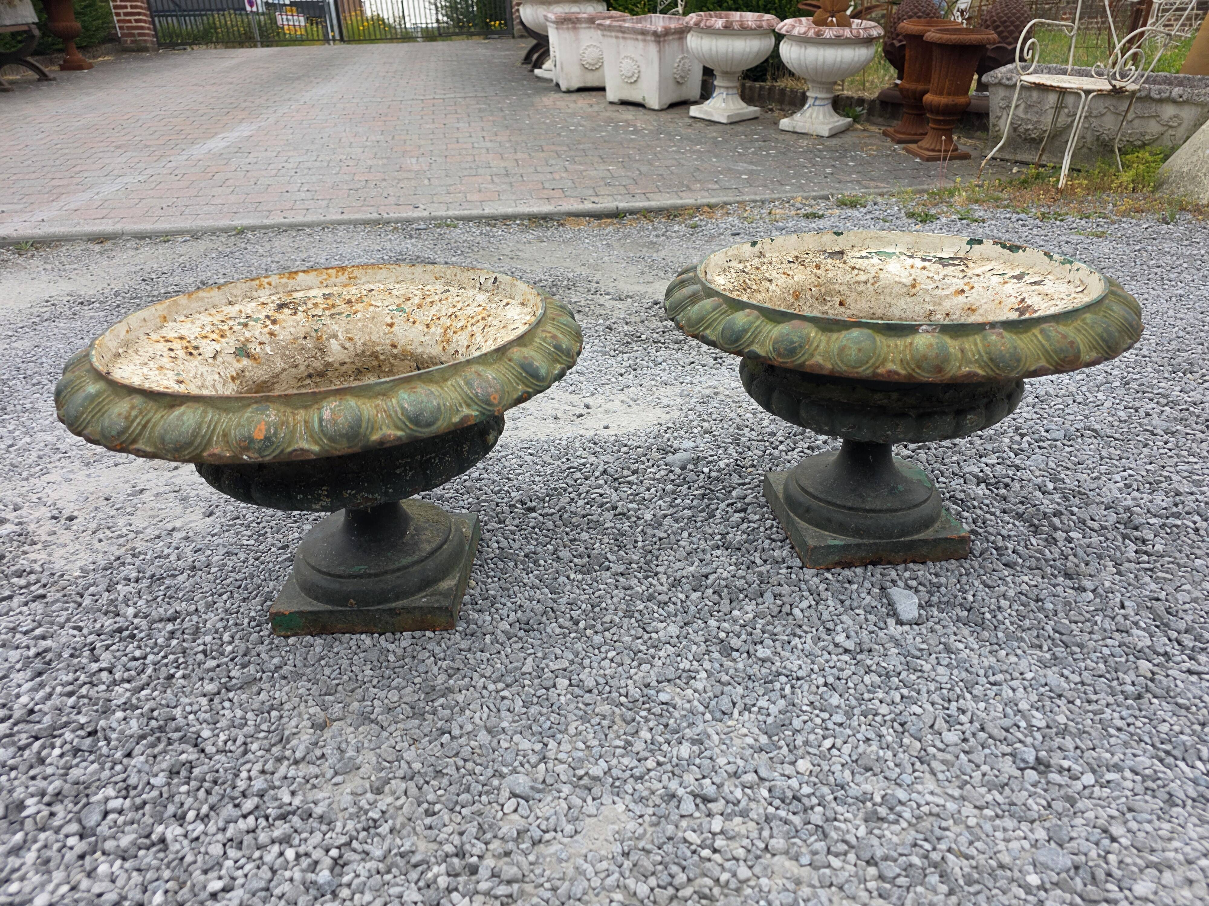 Pair of Medici vases in cast iron from the 19th century, 55cm wide.
