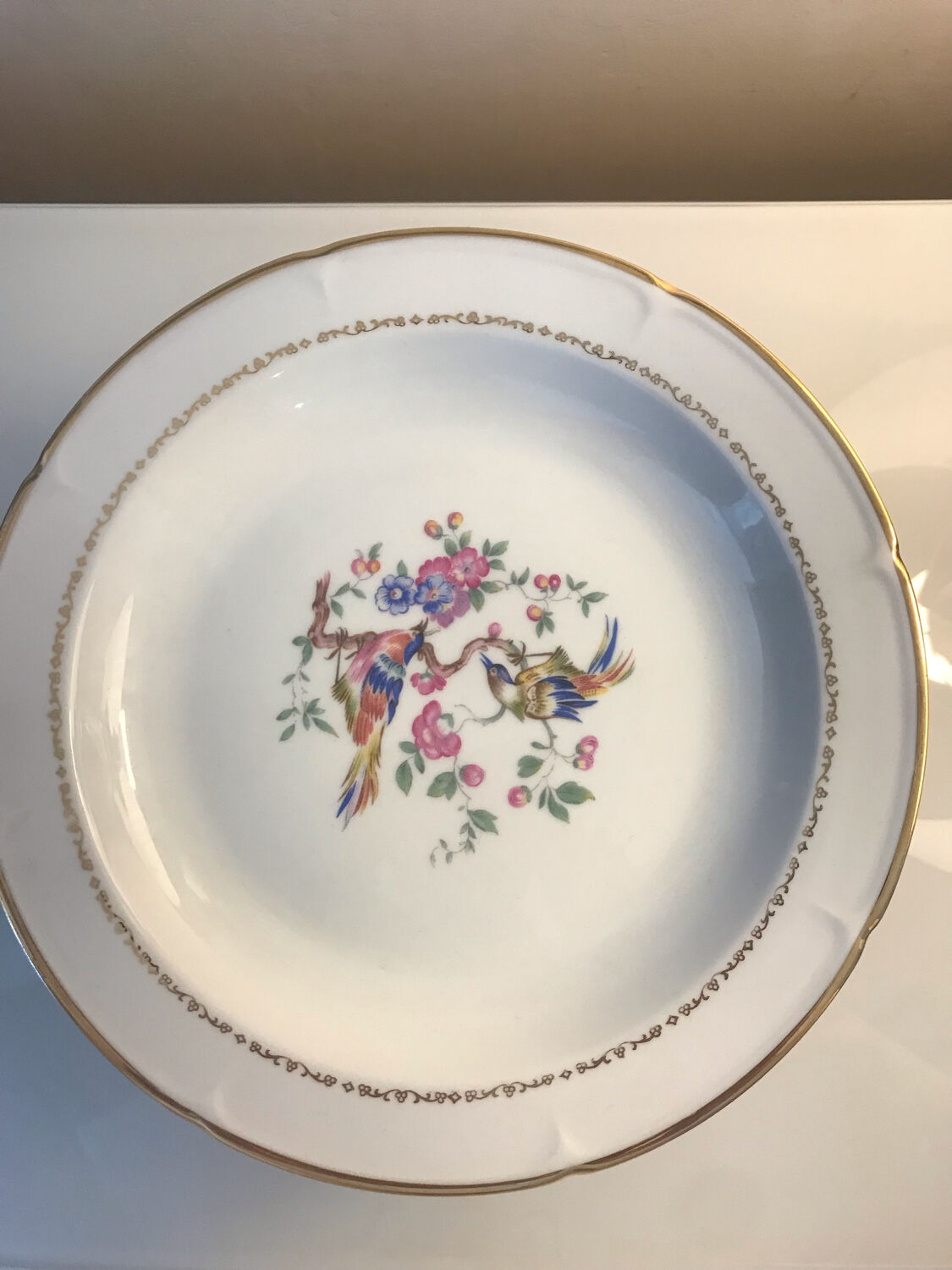 24 fine porcelain plates