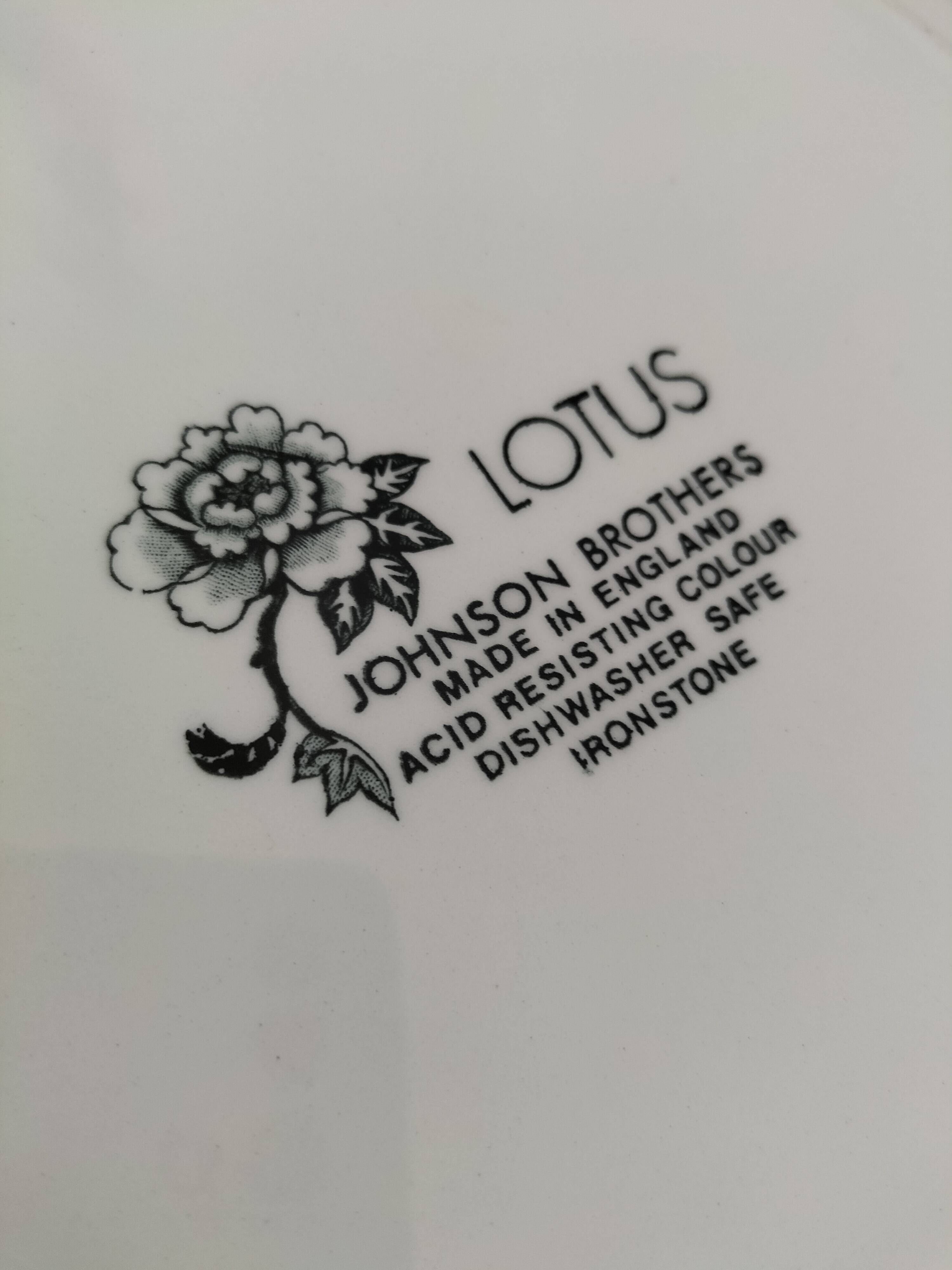 9 Johnson Brothers plates in the Lotus pattern.
