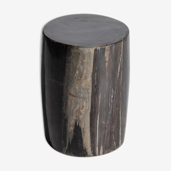 Side table in black petrified wood