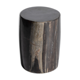 Side table in black petrified wood