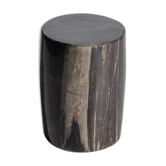 Side table in black petrified wood