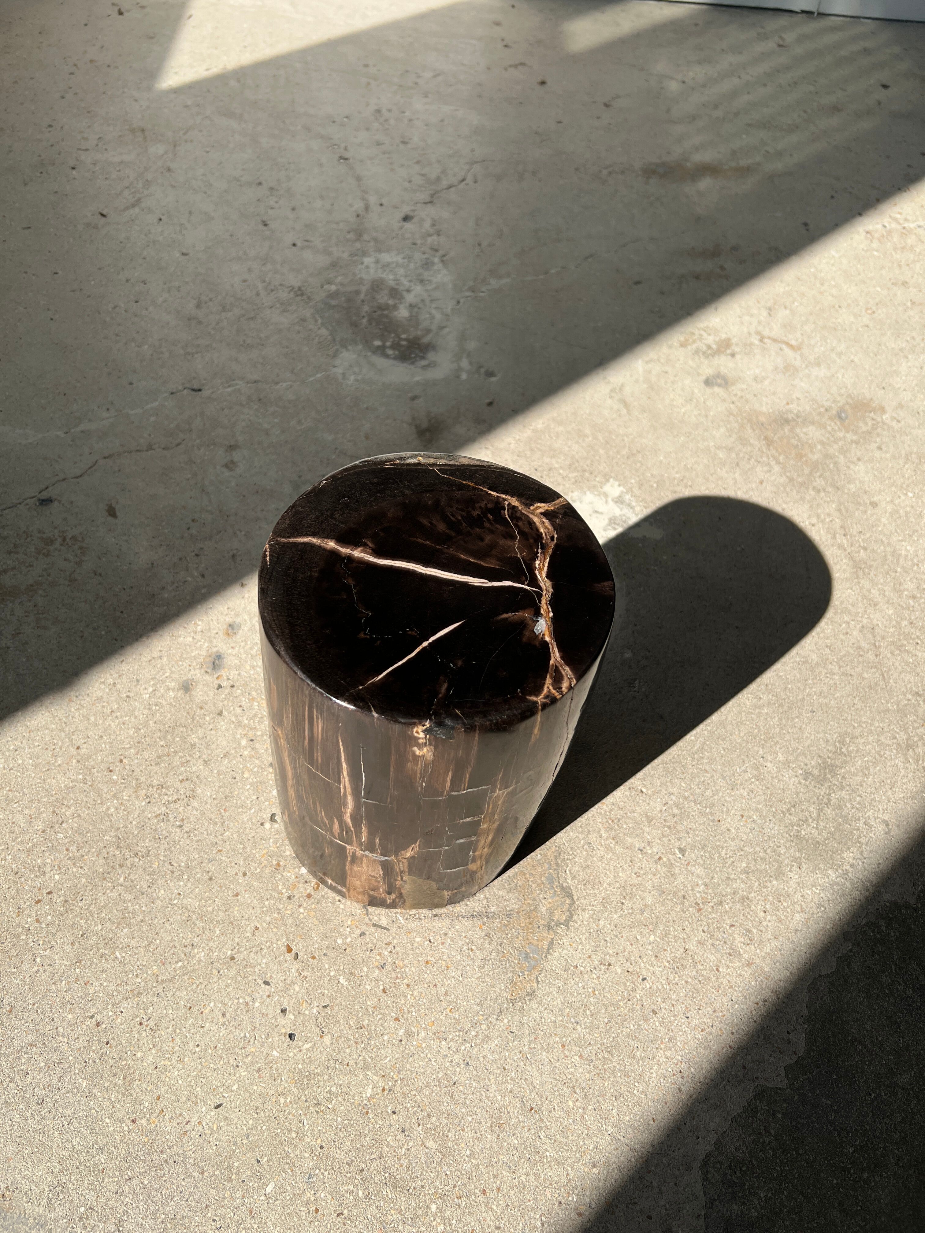 Side table in black petrified wood with light streaks h: 27,5cm d:18,5cm