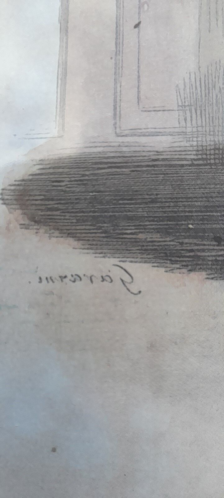 Reproduction print the avocado by Gavarni