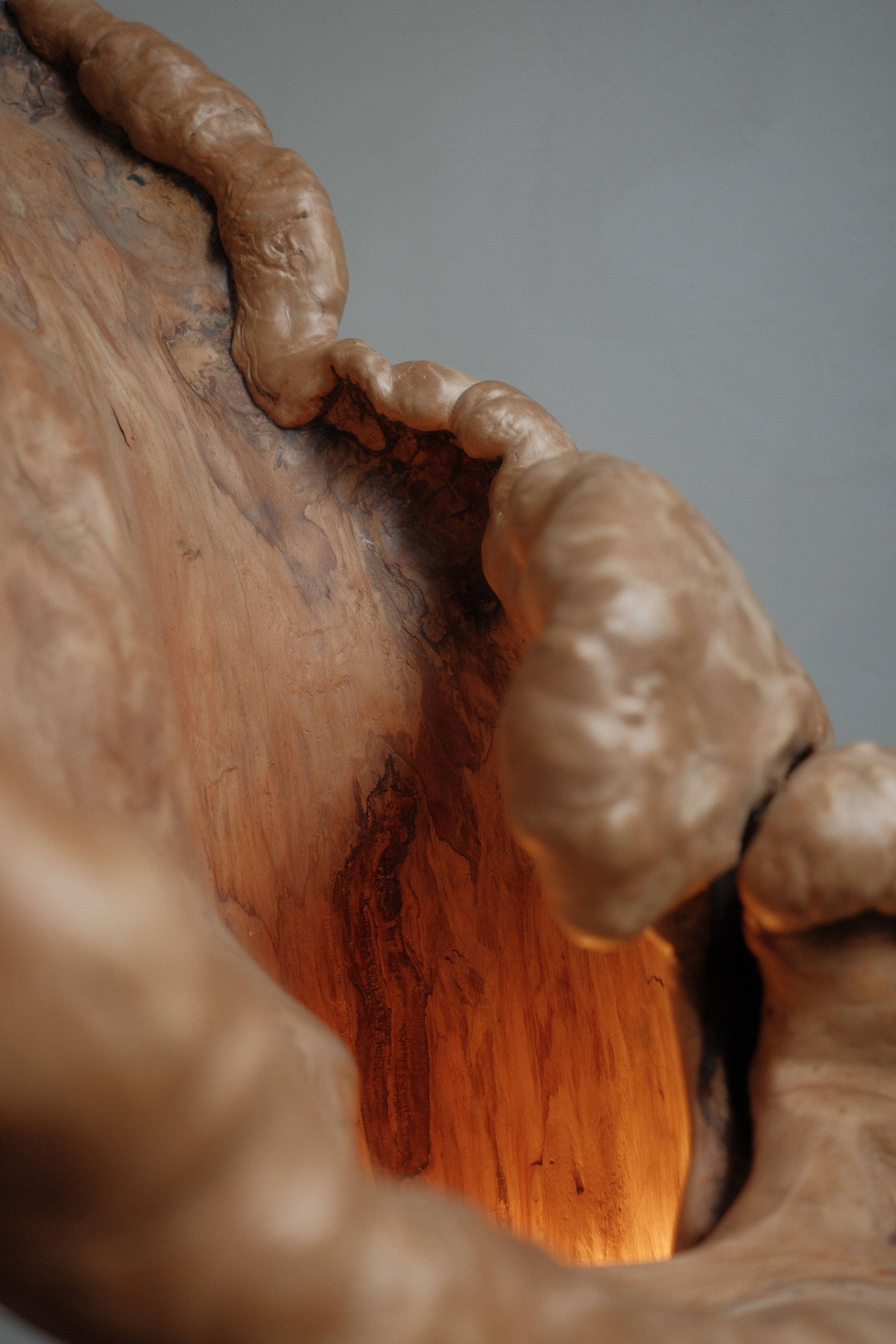 Sculptural lamp in burl wood