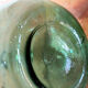 Demijohn green of 10 L