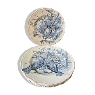 Set of 5 plates Terre de Fer "Spring Service" XIXth