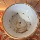 Cache-pot porcelain from Paris, rose decoration on a golden background, Empire style.