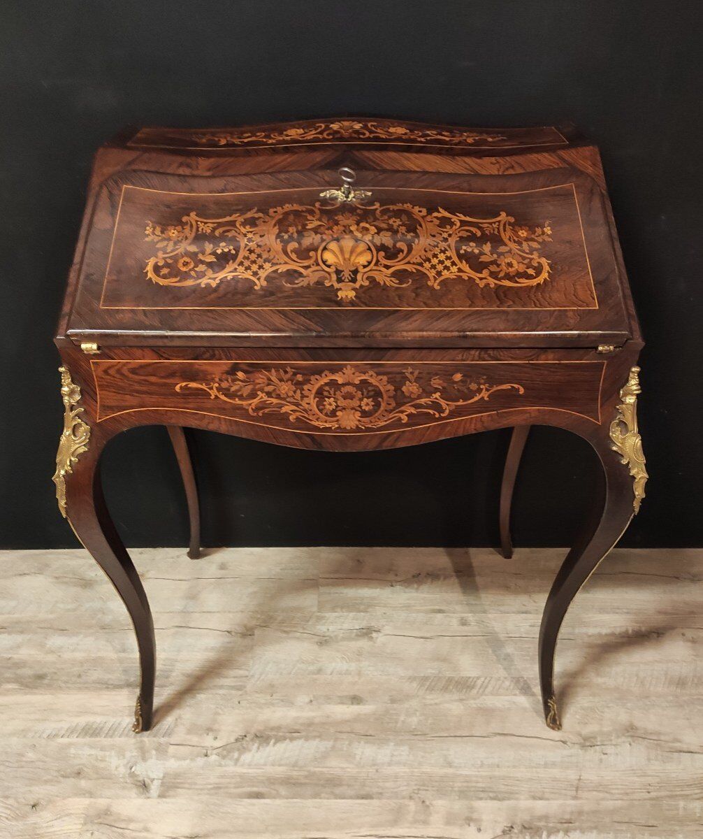 Secretary donkey back Napoléon III style