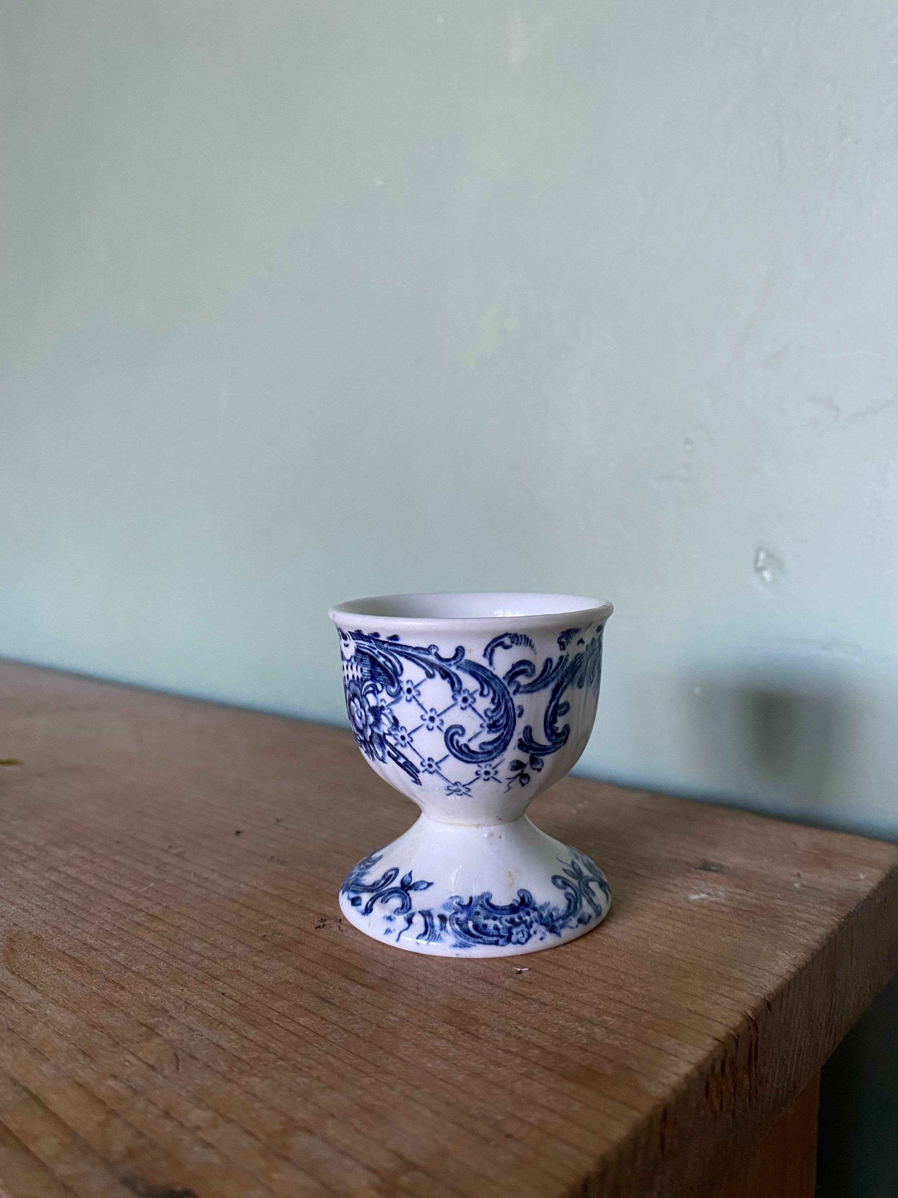 Ancient shell in Iron Land