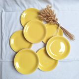 Villeroy & Boch yellow dinner plates