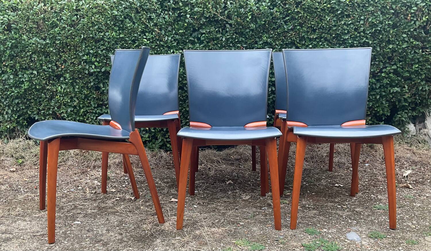 Série de 6 chaises Cassina par Josep Llusca