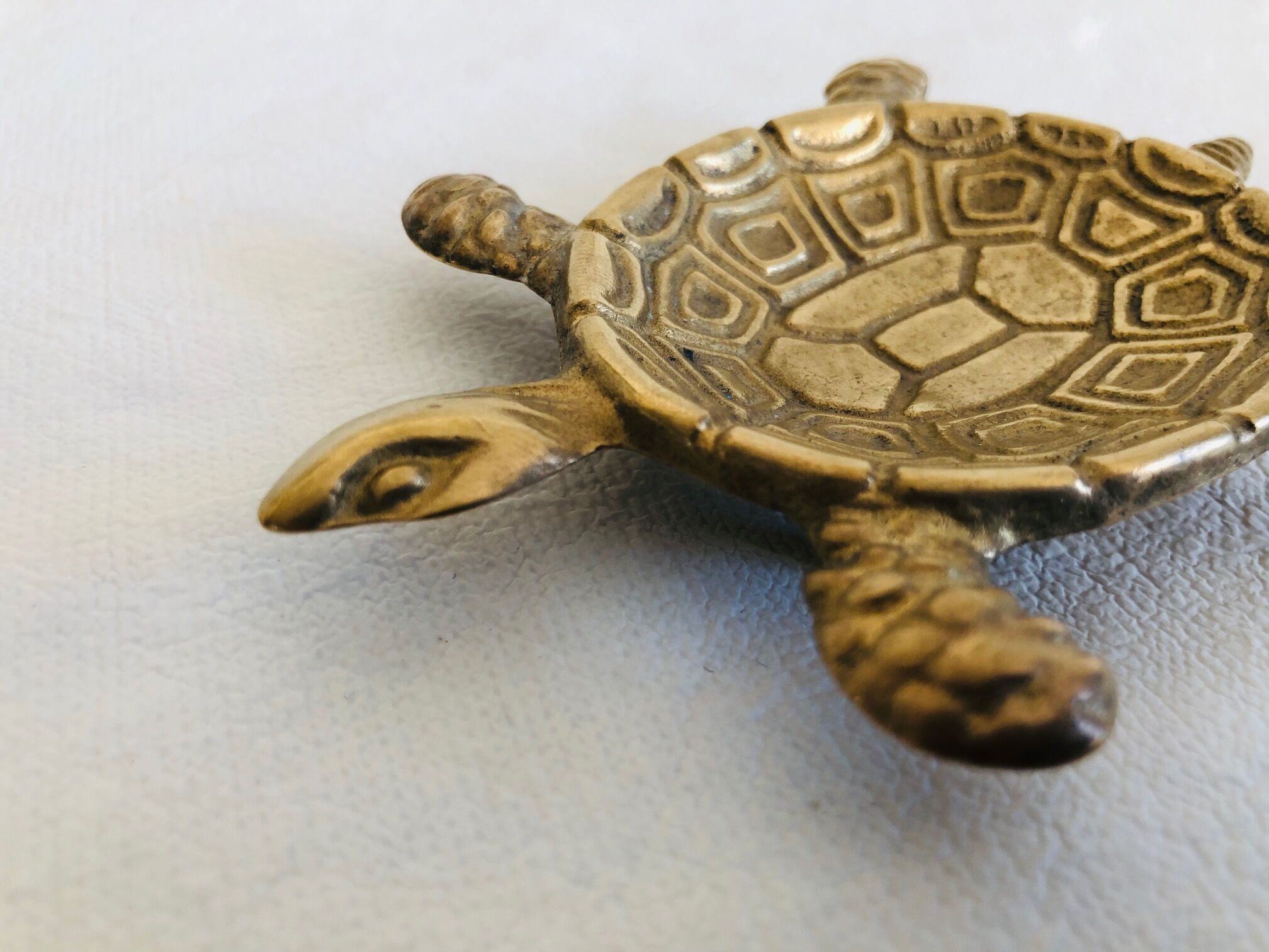 Brass turtle trinket bowl