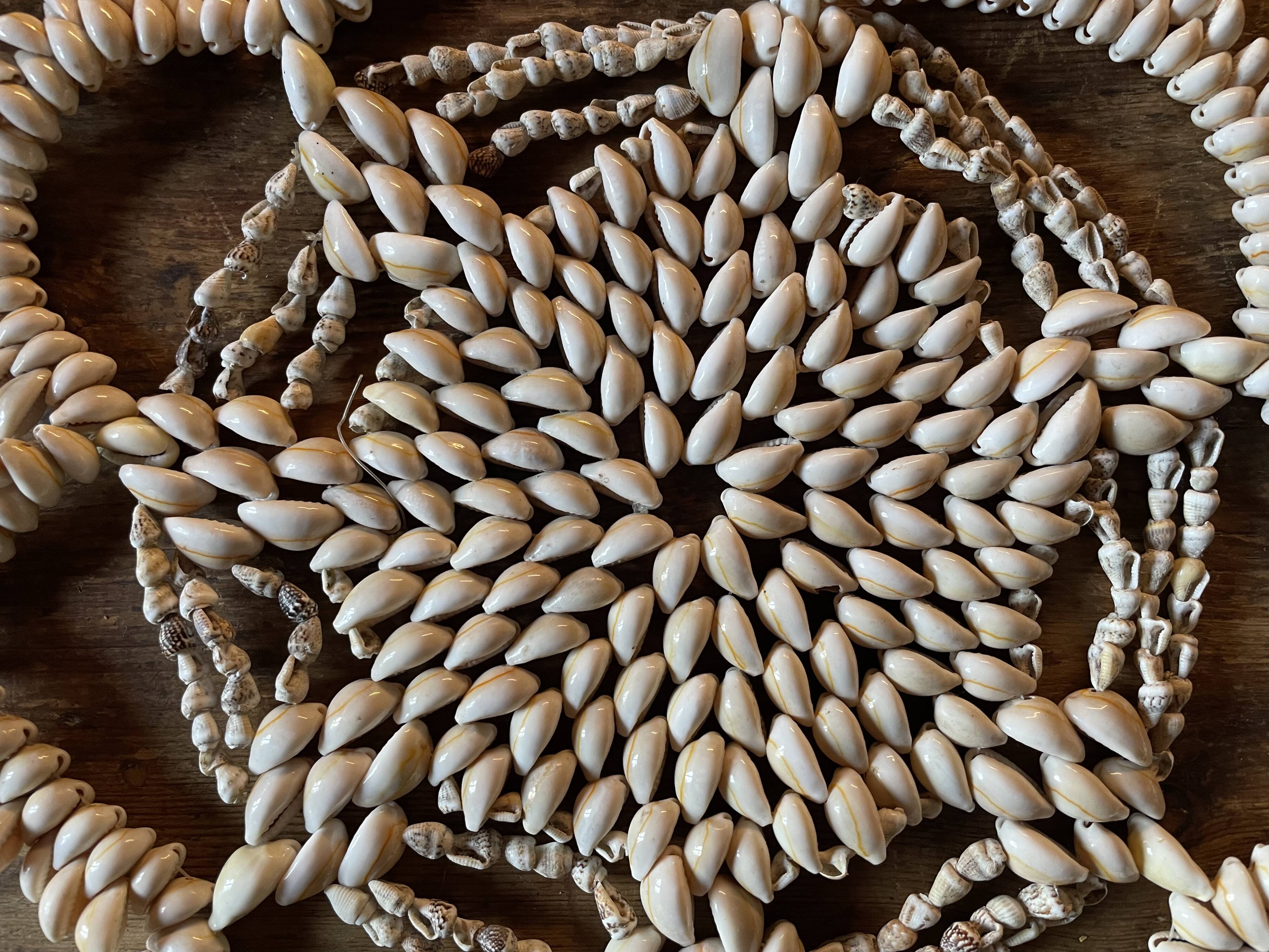 Vintage shell bottom