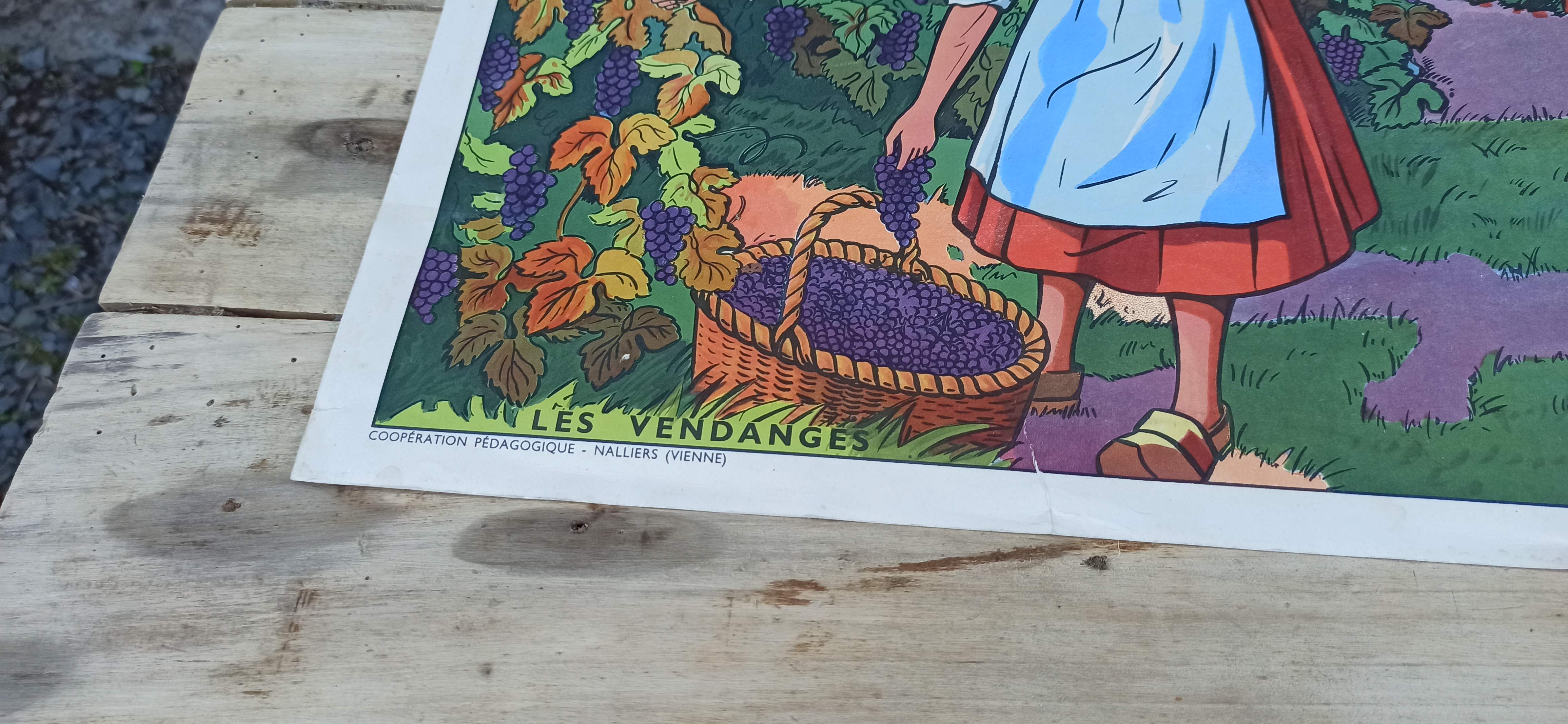 Set of 5 school posters