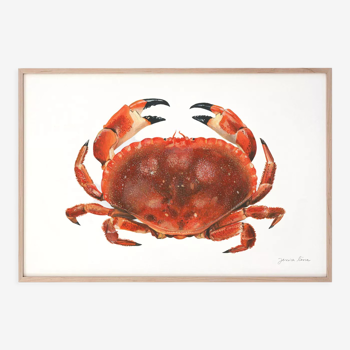"Billie", the crab, art print 21/29.7 cm