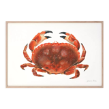 "Billie", the crab, art print 21/29.7 cm