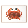 "Billie", the crab, art print 21/29.7 cm