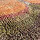Original ABSTRACT Scandinavian High Pile Pop Art Rya Rug Carpet, Sweden, 1960s