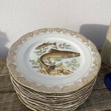 11 vintage Limoges porcelain fish plates