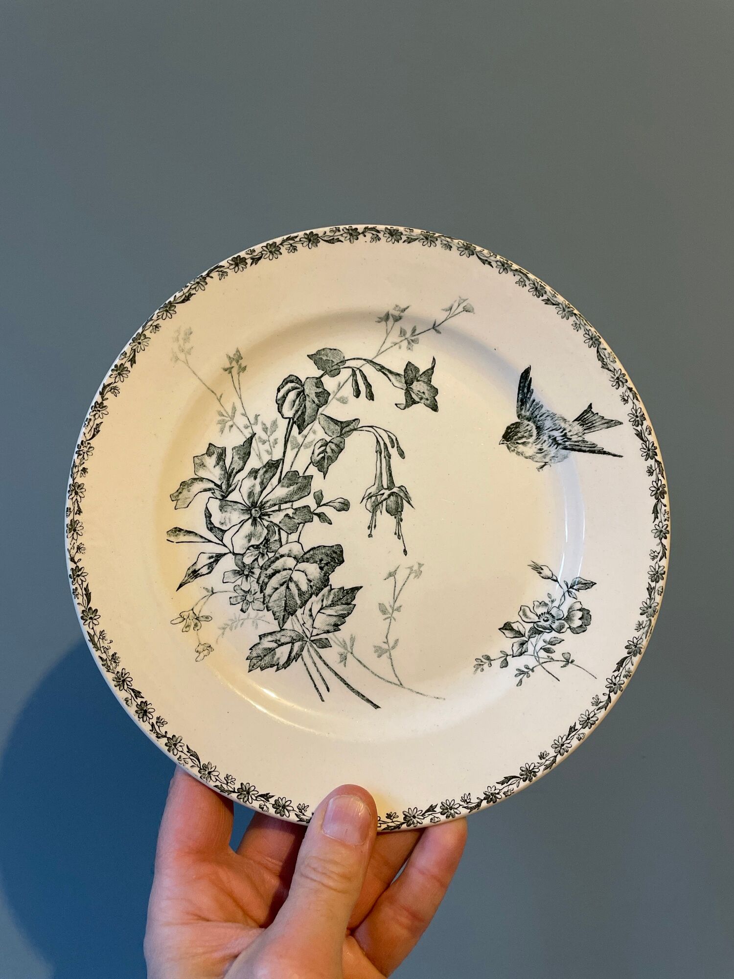 Set of 12 Terre de Fer dessert plates Grand Dépôt E.Bourgeois