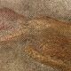 Signed oil on canvas painting "woman lying on her stomach"
