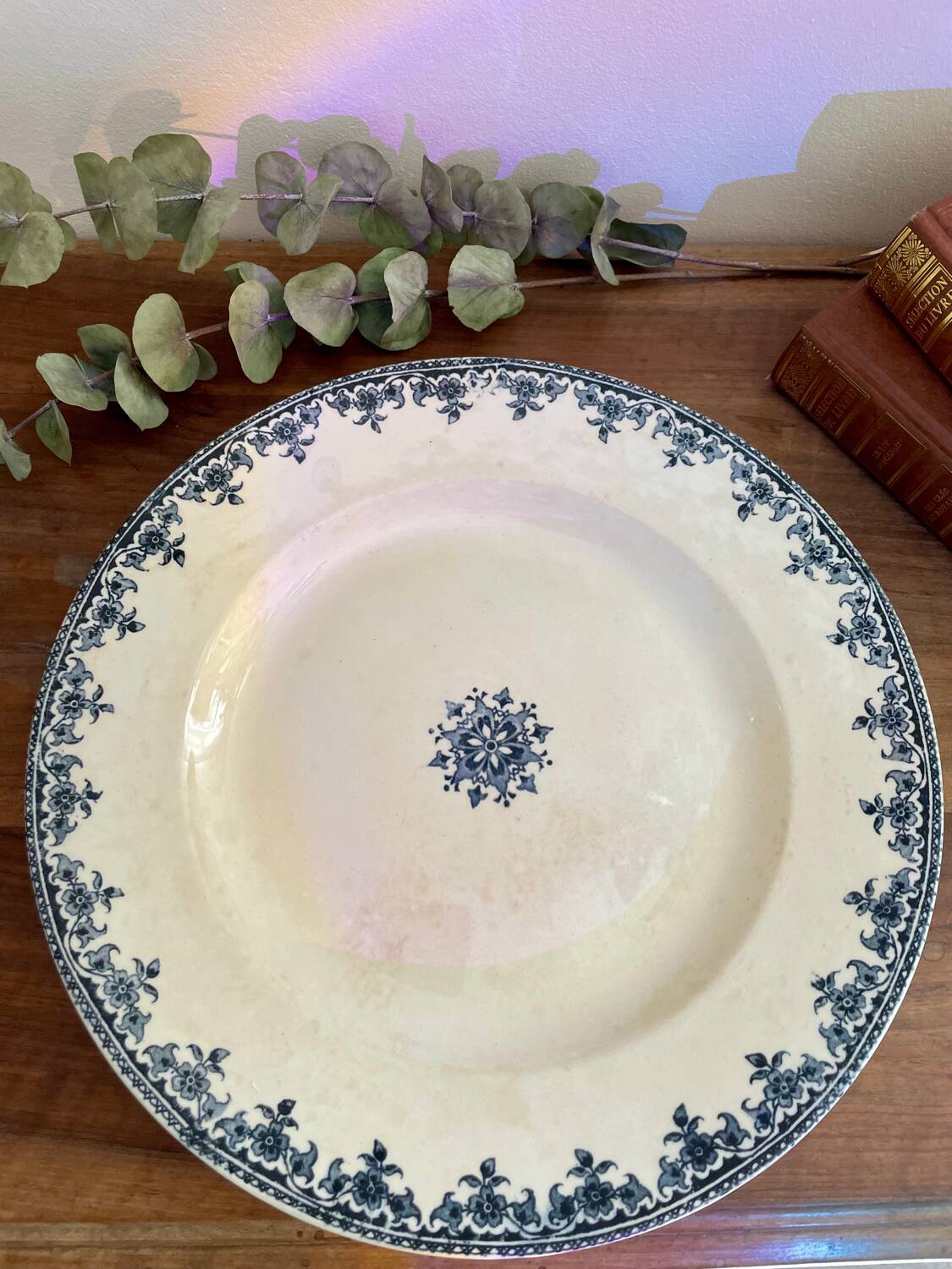 Large iron earth dish