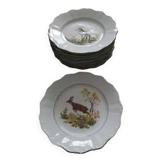 Porcelain plates