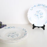 Set of 6 hollow plates Arcopal pattern Veronica