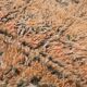 Peach Vintage Moroccan Rug 210 x 270 cm, Berber Wool Rug, Handmade Boho Rug