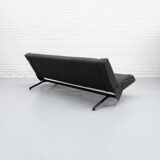 D70 Daybed Sofa by Osvaldo Borsani for Tecno 1950s
