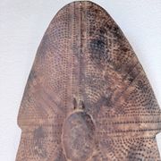 "Glagwa" shield embossed metal Cameroon 20th century