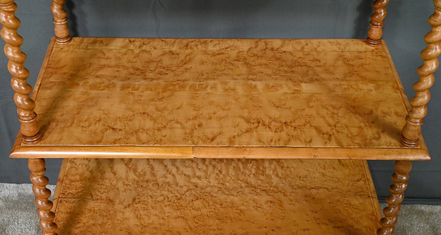 Sideboard in speckled maple burl – Late 19th century