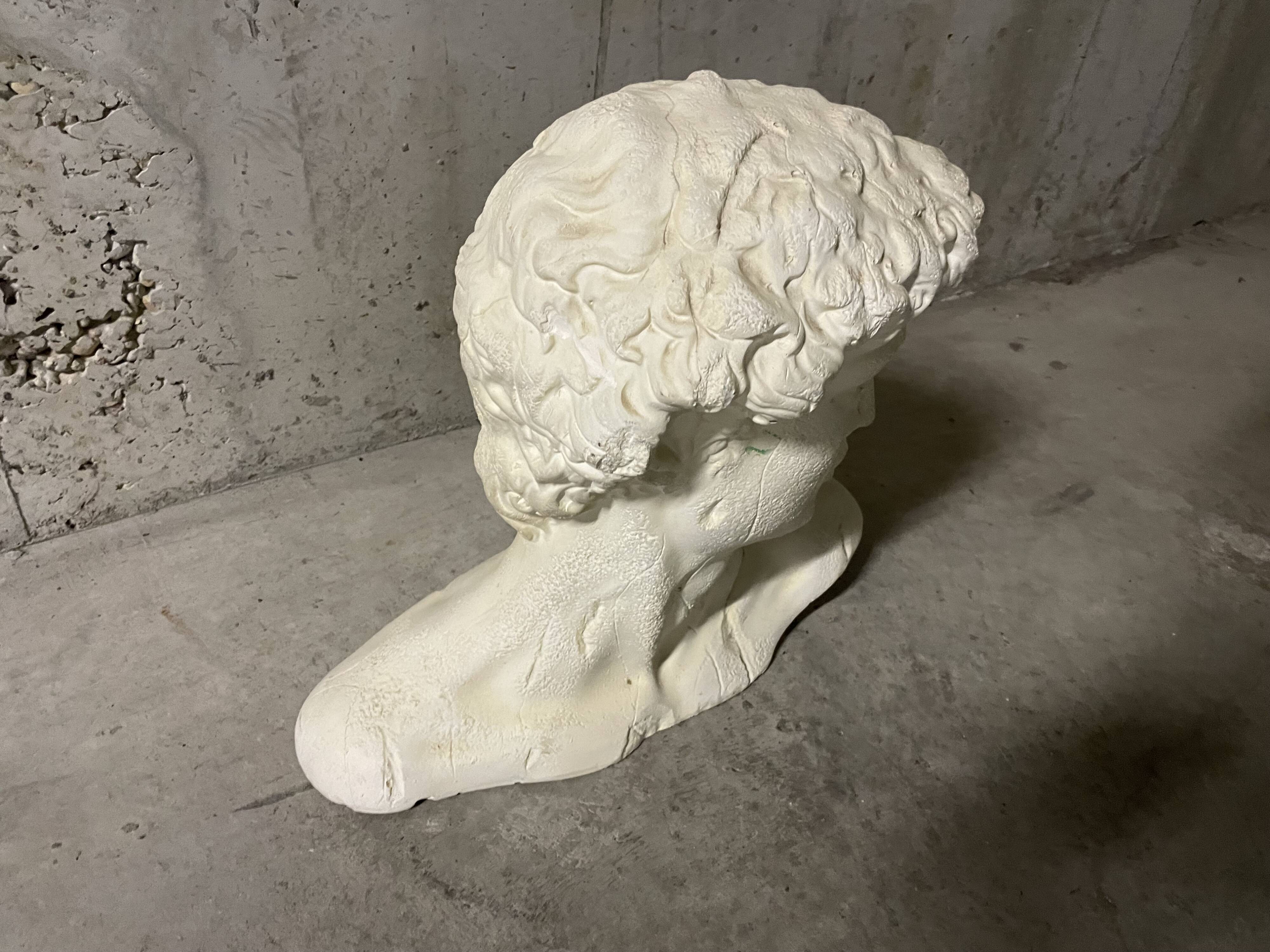 Bust of David