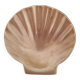 Shell-shaped brass catchall