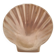 Shell-shaped brass catchall